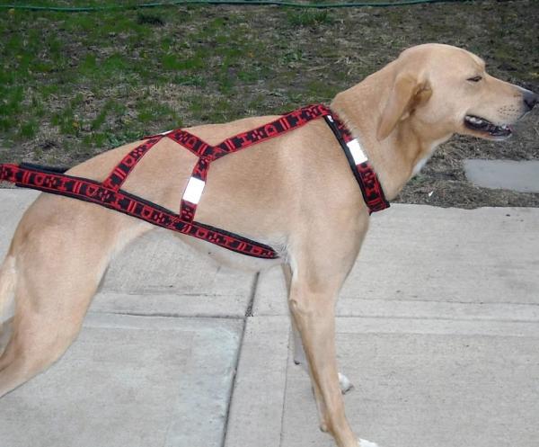 Howling Dog Alaska Hound Harness rot
